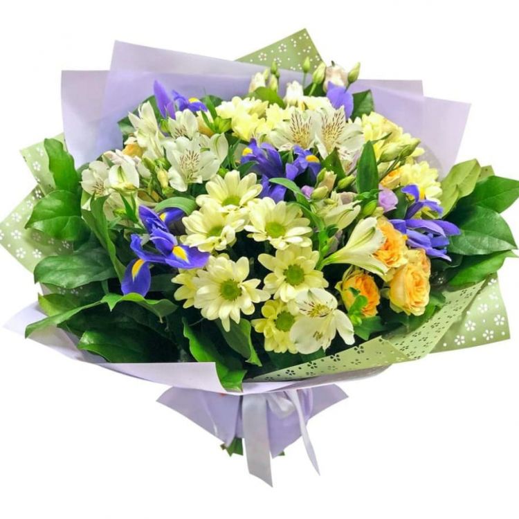 Белый ветер от 6 300 руб.