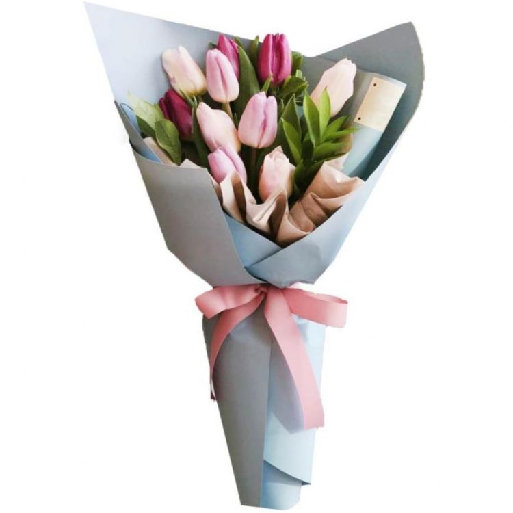 Вероника от 4 700 руб.